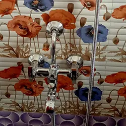 Plumber Mr. Biswaranjan Halder in Garia 5